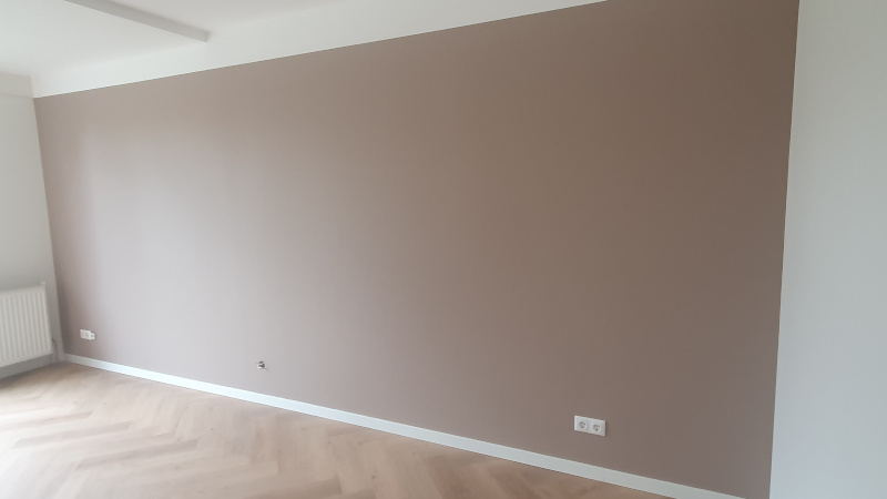 Renovlies behang